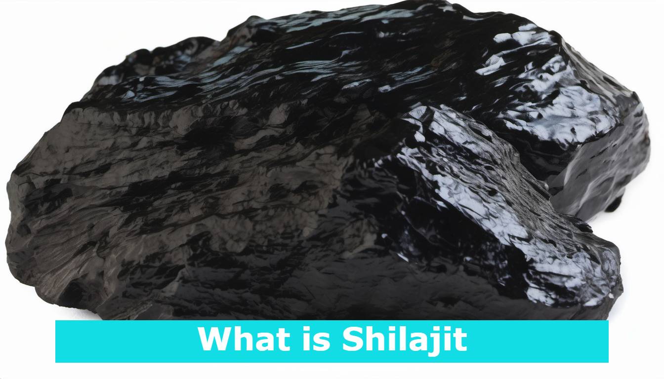 What is Shilajit